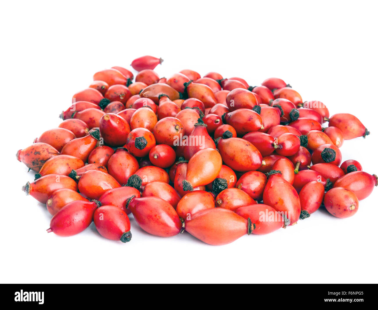 Handvoll frische Briar Obst auf weißem Hintergrund Stockfoto