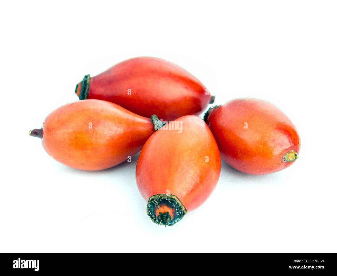 Vier frische Briar Obst auf weißem Hintergrund Stockfoto