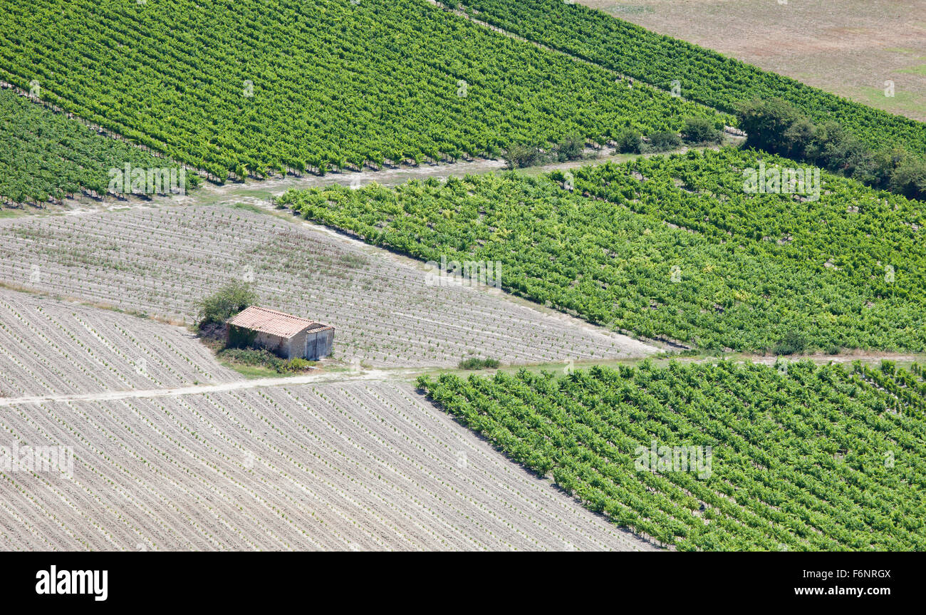 Weinberge-Zeilen und ländlichen Hütte aus der Vogelperspektive. Landschaft im Luberon, Provence, Frankreich. Stockfoto