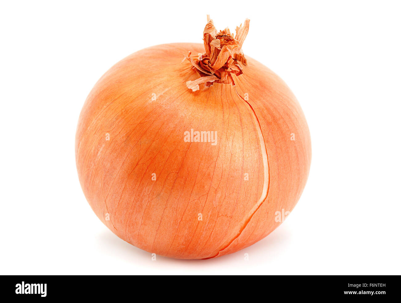 Zwiebel Gemüse Closeup isoliert auf weiss Stockfoto