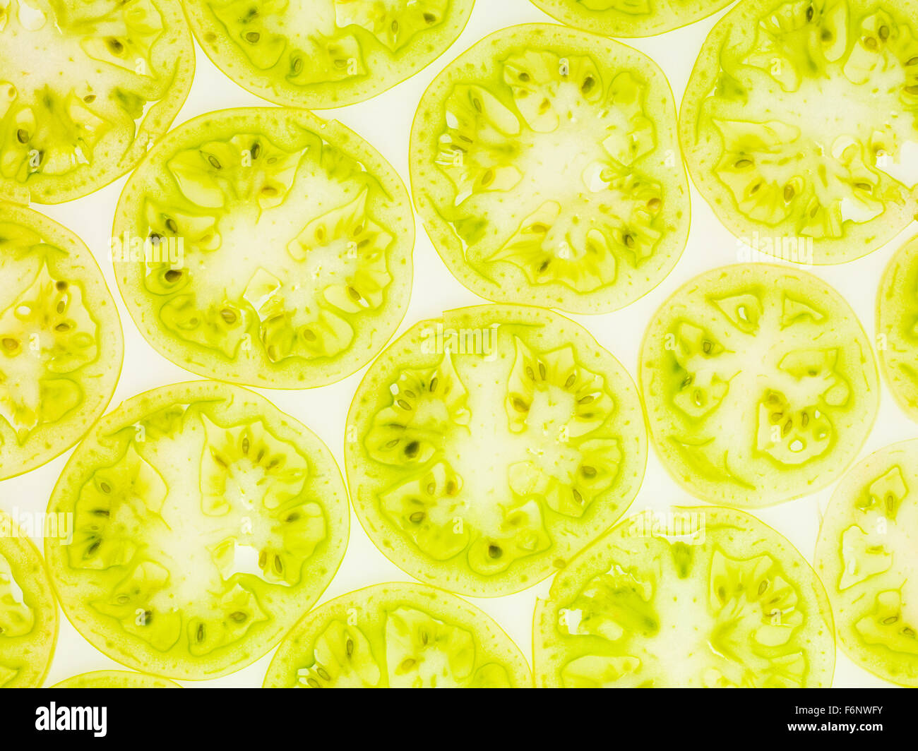 beleuchtete Scheibe grüne Tomaten Hintergrund lebendige Textur Stockfoto