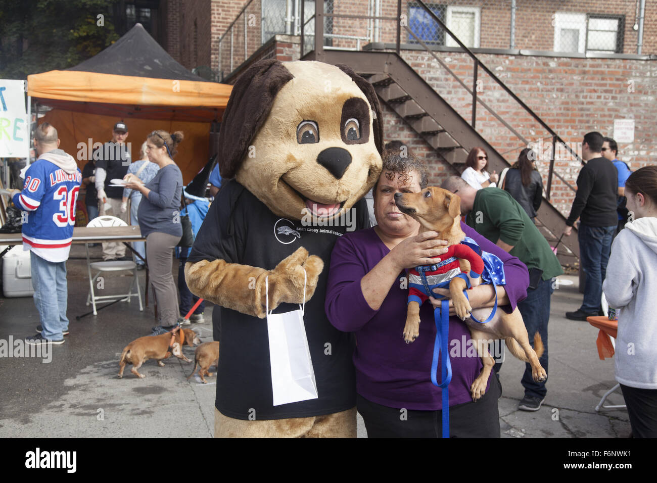 Hund trifft Hund auf einer Halloween-Party, gesponsert von einem Animal Rescue Center in Windsor Terrace, Brooklyn. NY. Stockfoto