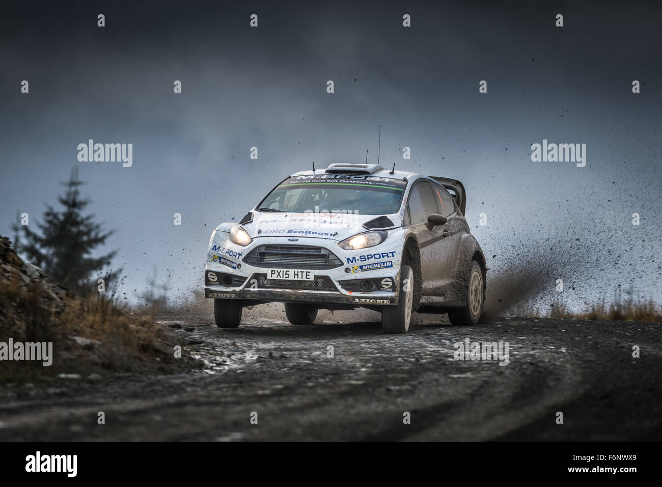 Ott Tänak & Raigo Molder, SS6 Myherin Wales Rallye GB 2015 WRC. 06 M-Sport WRT, Ford Fiesta WRC, Aktion Stockfoto