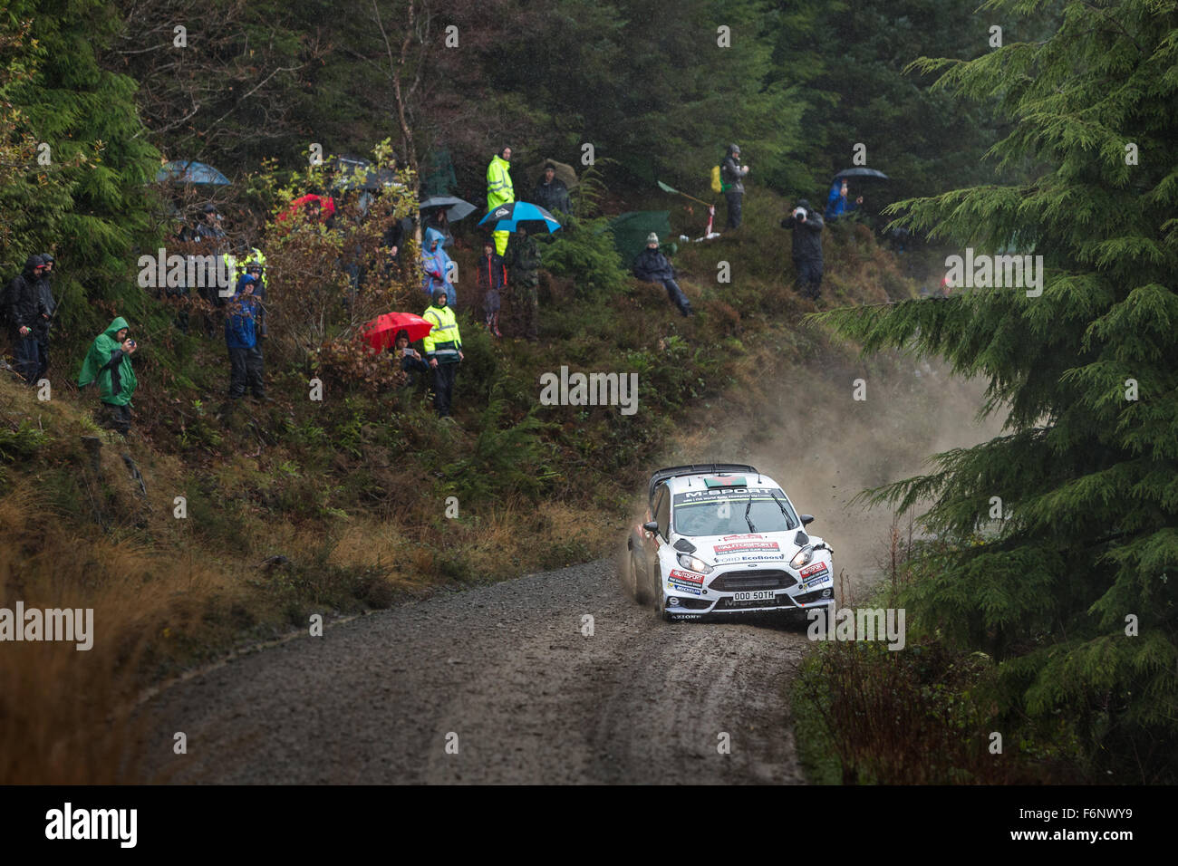 Elfyn Evans & Daniel Barritt, SS10 Dyfi Wales Rallye GB 2015 WRC. 05 M-Sport WRT, Ford Fiesta WRC, Aktion Stockfoto