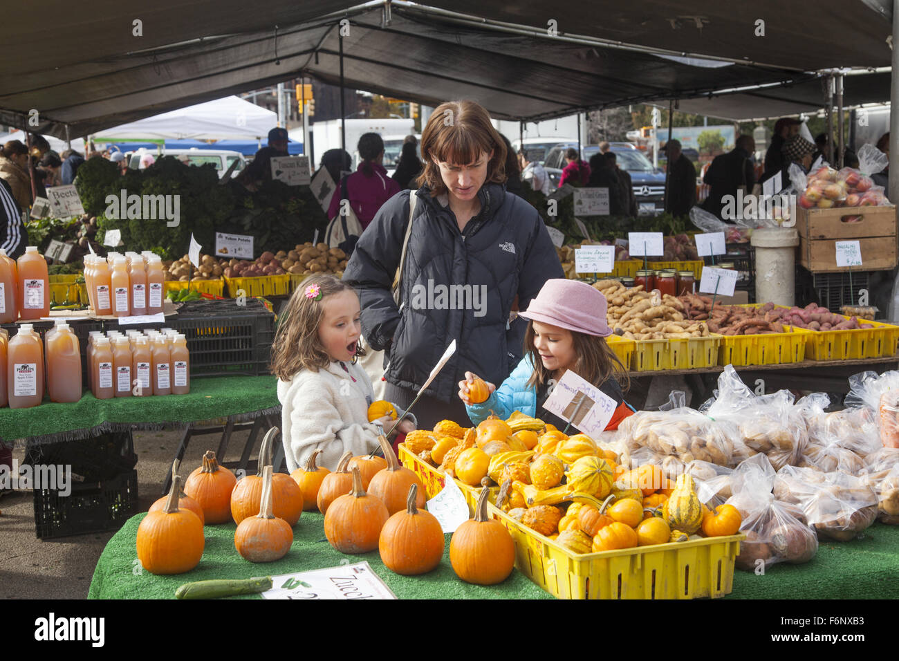 Menschen-Shop an der Grand Army Plaza Farmers Market in Park Slope, Brooklyn, NY. Stockfoto