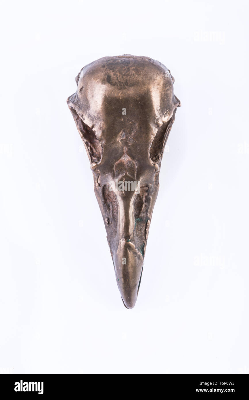isolierte Messing Krähe scull Stockfoto