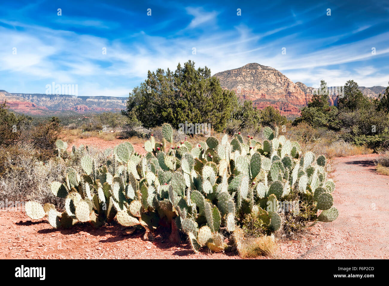 Sedona; Arizona; USA; Amerika Stockfoto