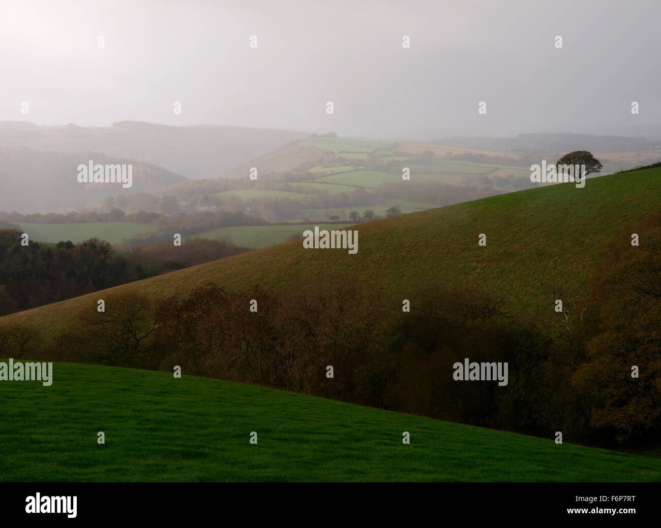 Nassen Wintertag auf Dartmoor, Devon, UK Stockfoto
