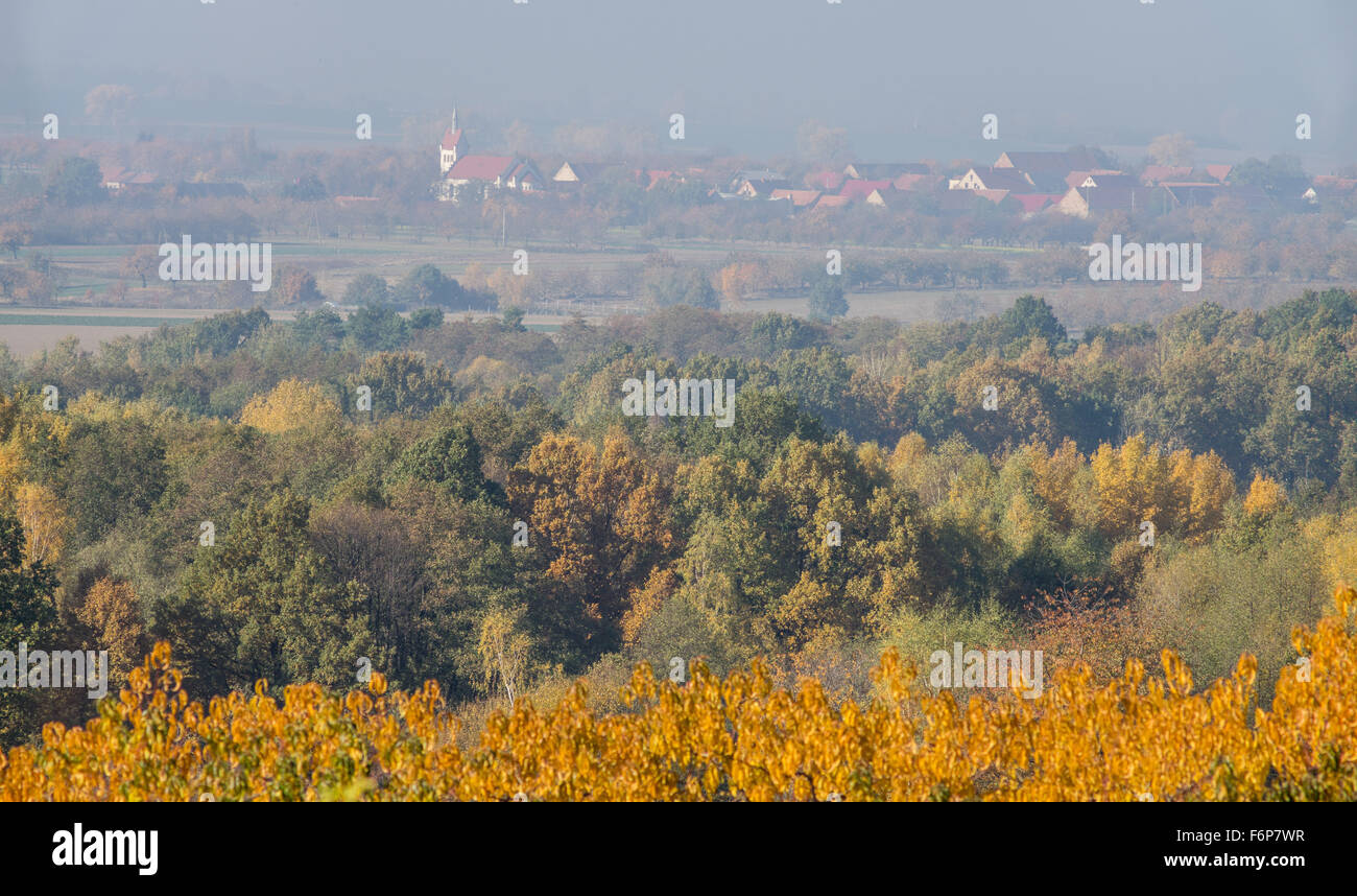 Bunte dunstigen sonnigen Herbst Landschaft Niederschlesien Stockfoto