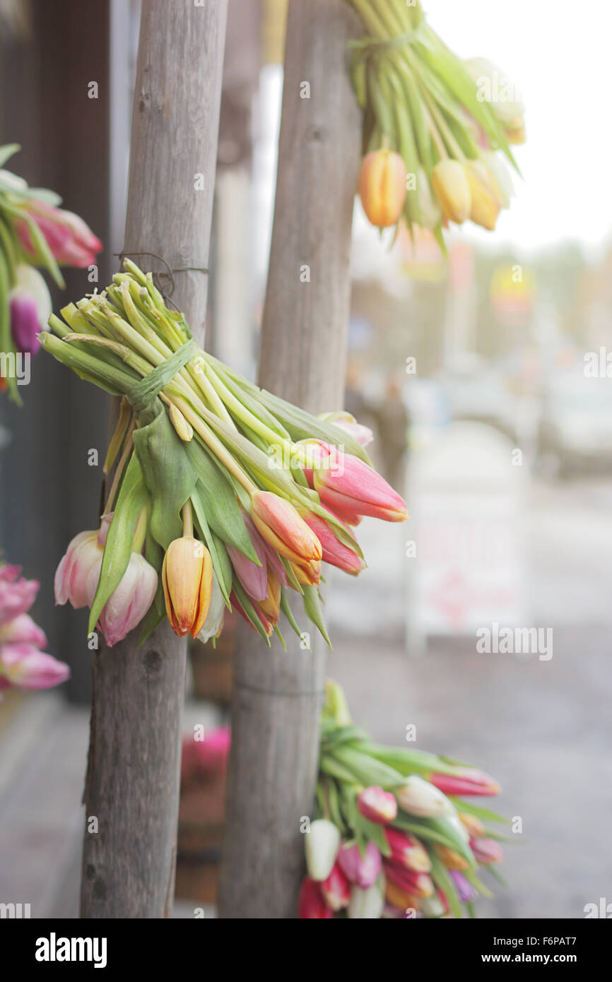 Trauben der frische Tulpen auf der Straße. Frühling in der Stadt. Stockfoto