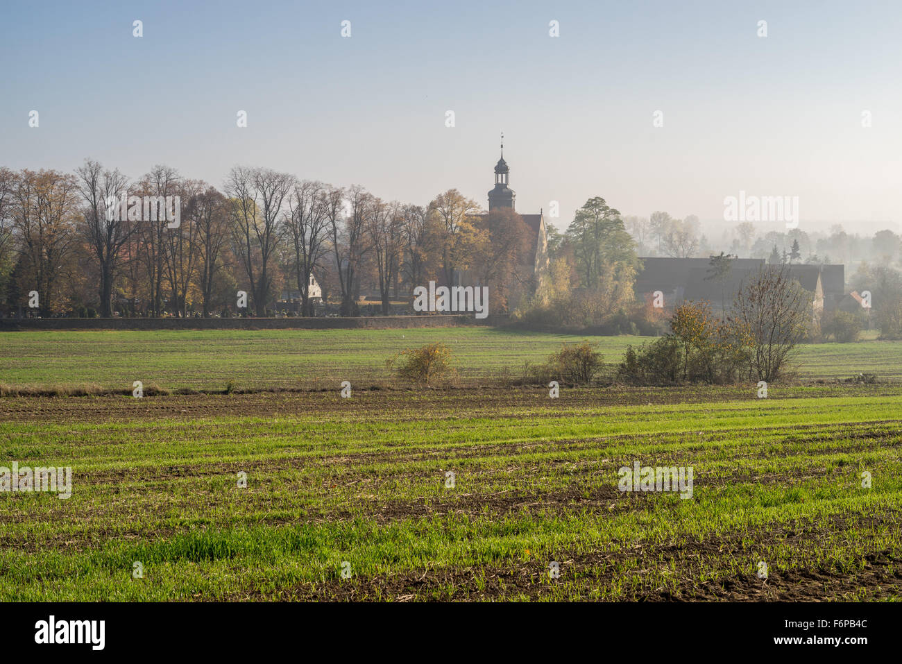 Nebligen Herbstmorgen über Dorf Moscisko Niederschlesien Stockfoto