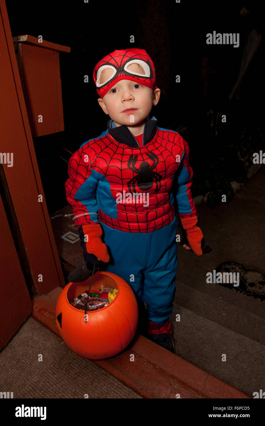 Junge in Halloween Spider Man Kostüm mit Süßes oder Saures Jack-weißen  Süßigkeiten Kürbis. St Paul Minnesota MN USA Stockfotografie - Alamy