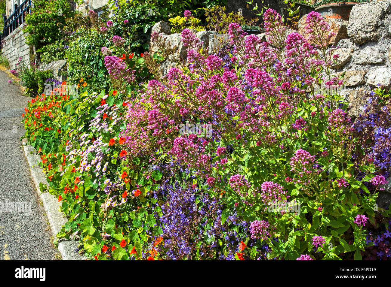 Sommer Garten Blumen Stockfoto