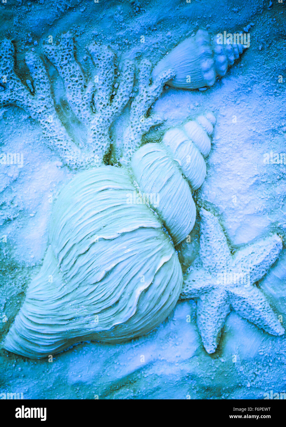 Handgefertigte künstlerische 3-d-Wiedergabe Kunst Meer Muscheln, Seesterne, Konchen & Korallen in blaue Textur Harz Stockfoto