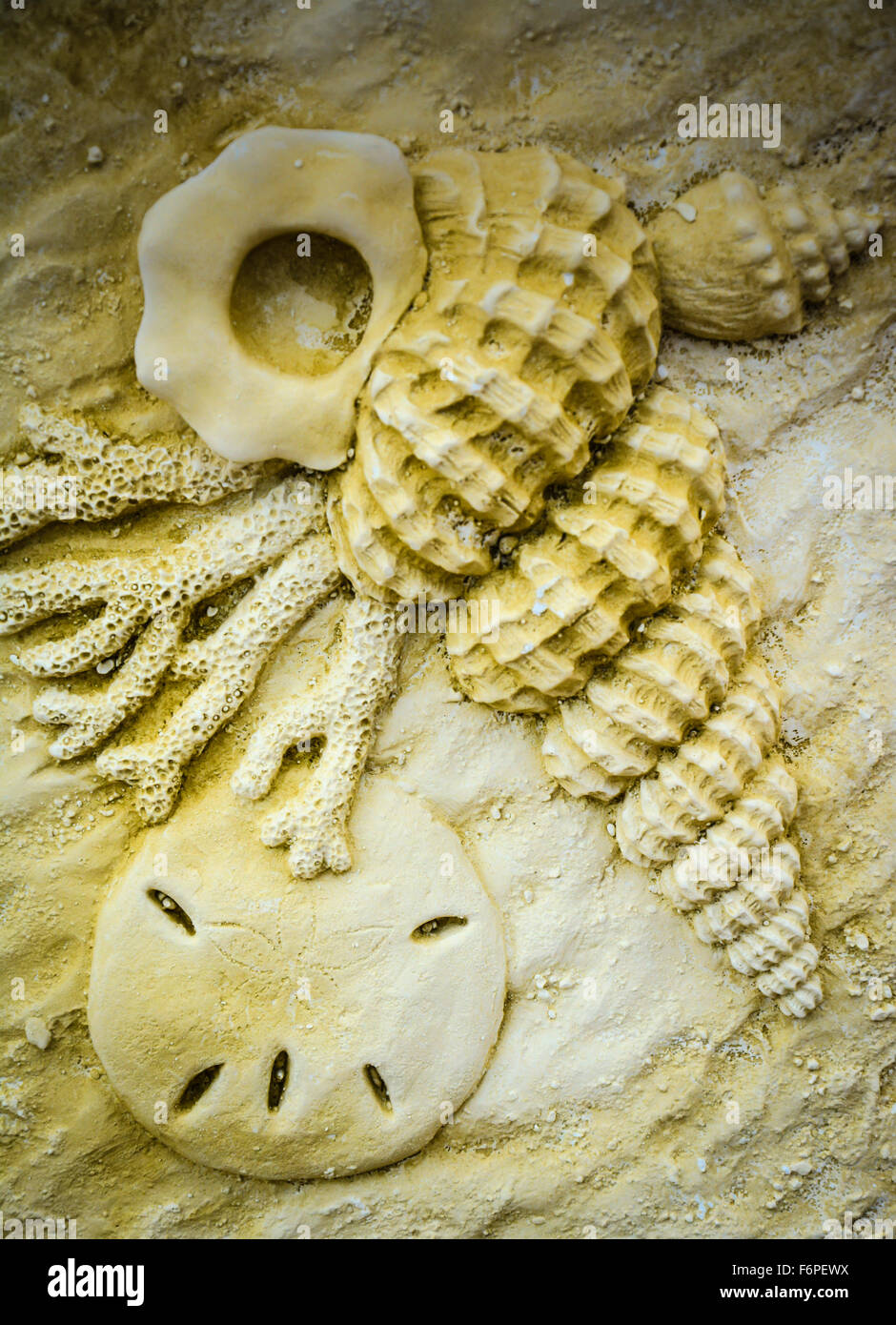 Handgefertigte künstlerische 3-d-Wiedergabe Kunst von Muscheln, Seesternen, Konchen & Korallen in strukturelle Harz Stockfoto