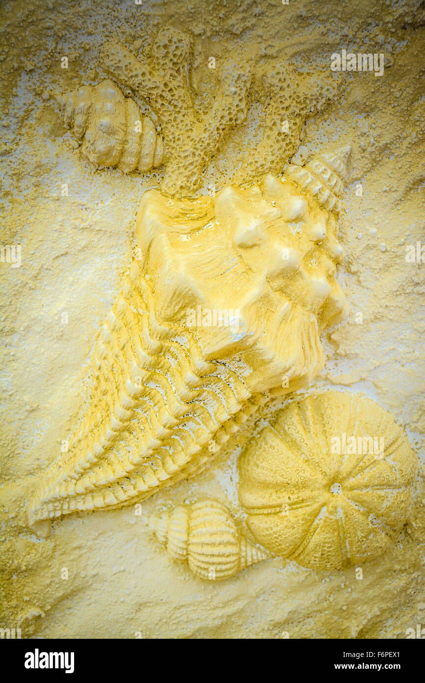 Handgefertigte künstlerische 3-d-Wiedergabe Kunst von Muscheln, Seesternen, Konchen & Korallen in strukturelle Harz Stockfoto