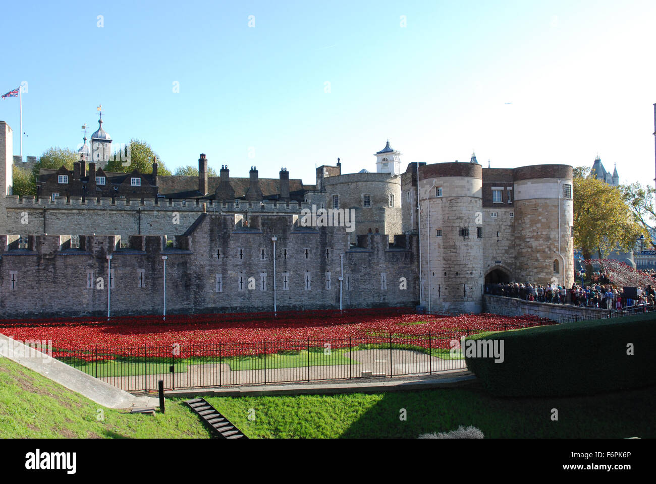 Mohn in den Tower of London 2014 Stockfoto