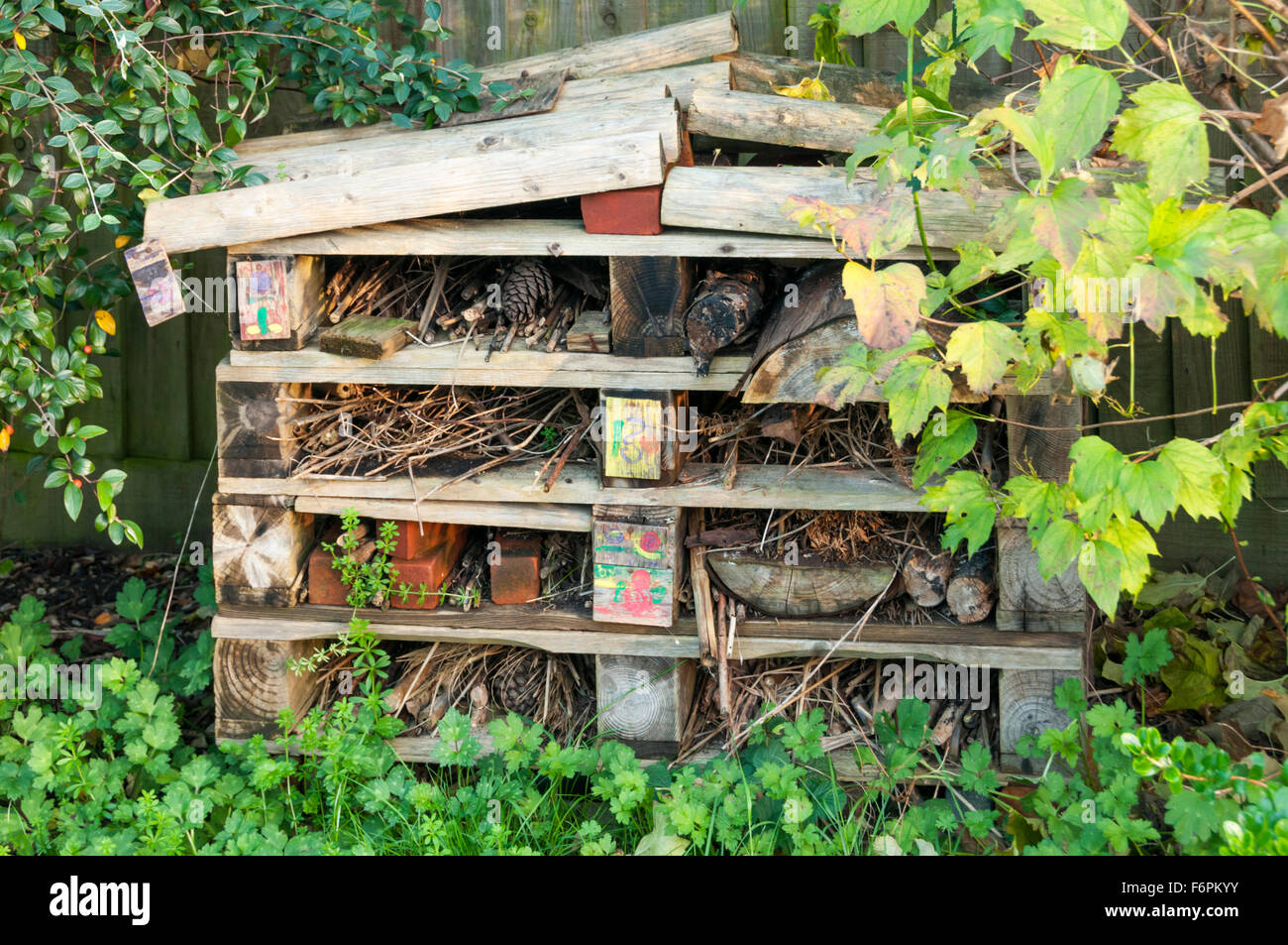 Ein Bug-Hotel für Insekten hergestellt aus alten Holzpaletten in eine wilde Ecke eines Gartens. Stockfoto