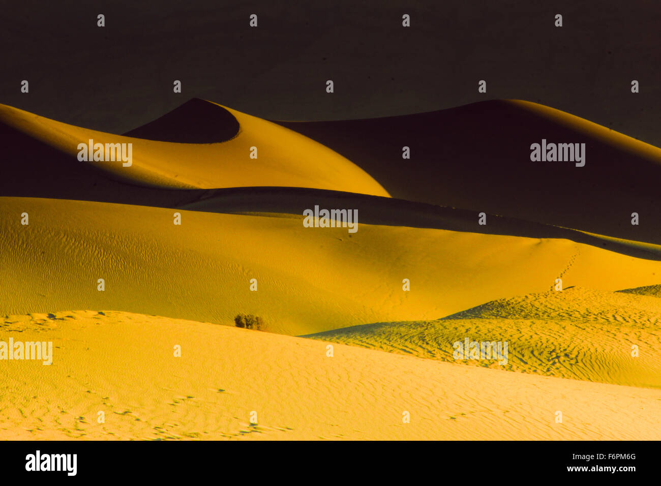 Lebendige Schatten über Mesquite Sand Dunes - Death Valley Nationalpark Stockfoto