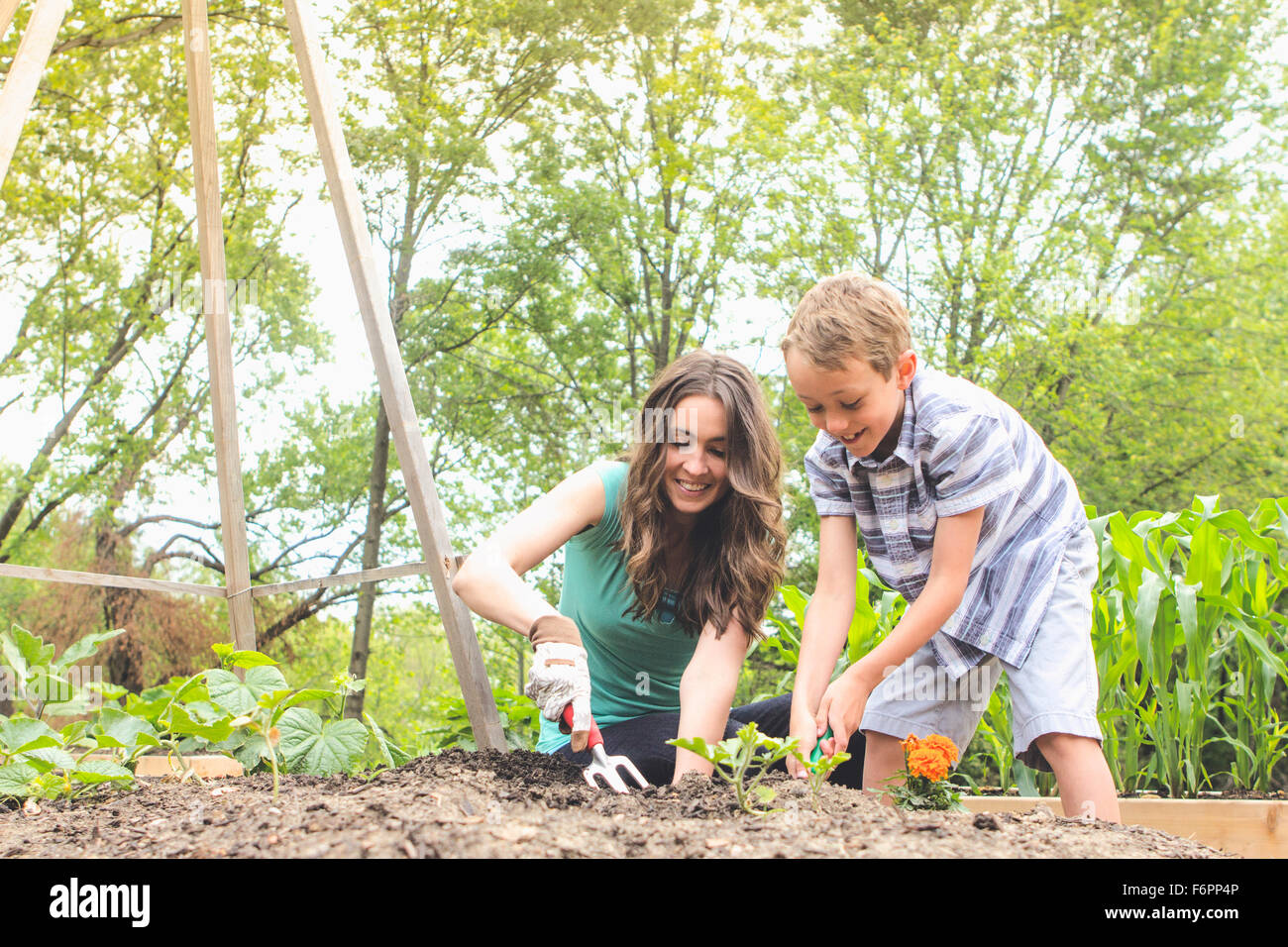 Mutter und Sohn im Garten anpflanzen Stockfoto