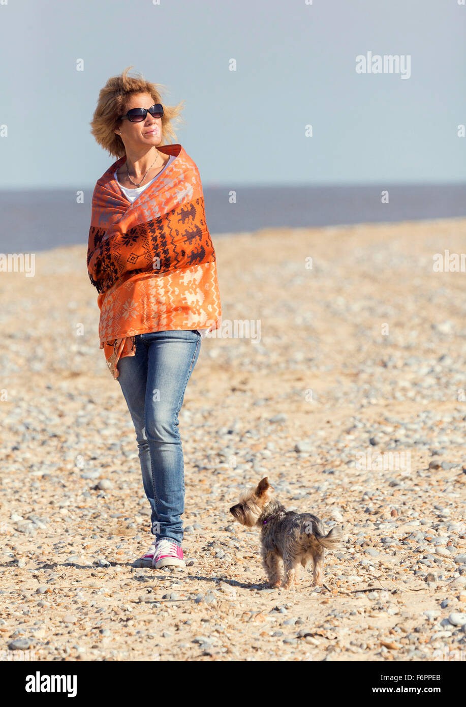 Frau gehende Hunde am Strand, Great Yarmouth, Großbritannien Stockfoto Frau gehende Hunde am Strand, Great Yarmouth, Großbritannien Stockfoto