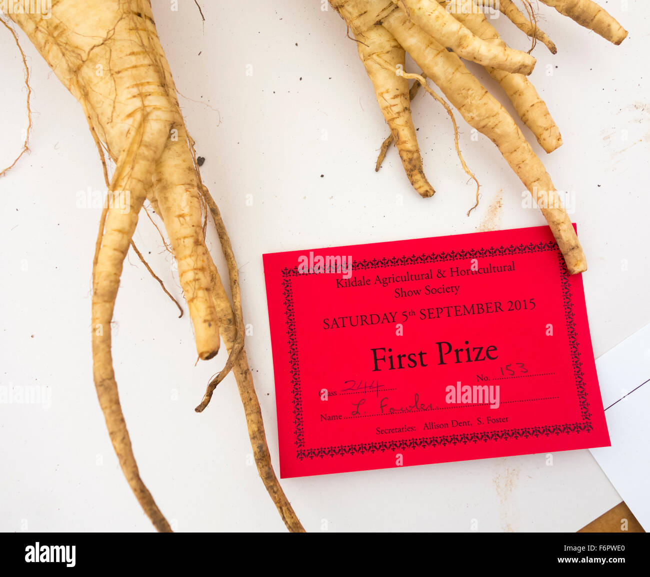 Preis gewinnende Pastinaken in Kildale zeigen, North Yorkshire, England. UK Stockfoto