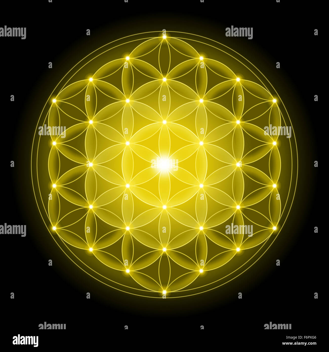 Goldene Blume des Lebens mit auf schwarzem Hintergrund, ein spirituelles Symbol und heiliger Geometrie seit der Antike. Stockfoto
