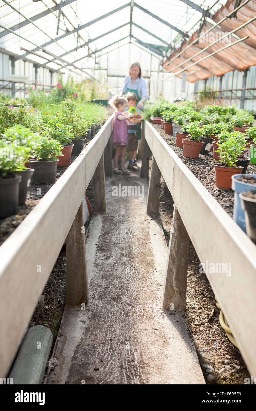 Weibliche Gärtner und Kinder im Gewächshaus Stockfoto