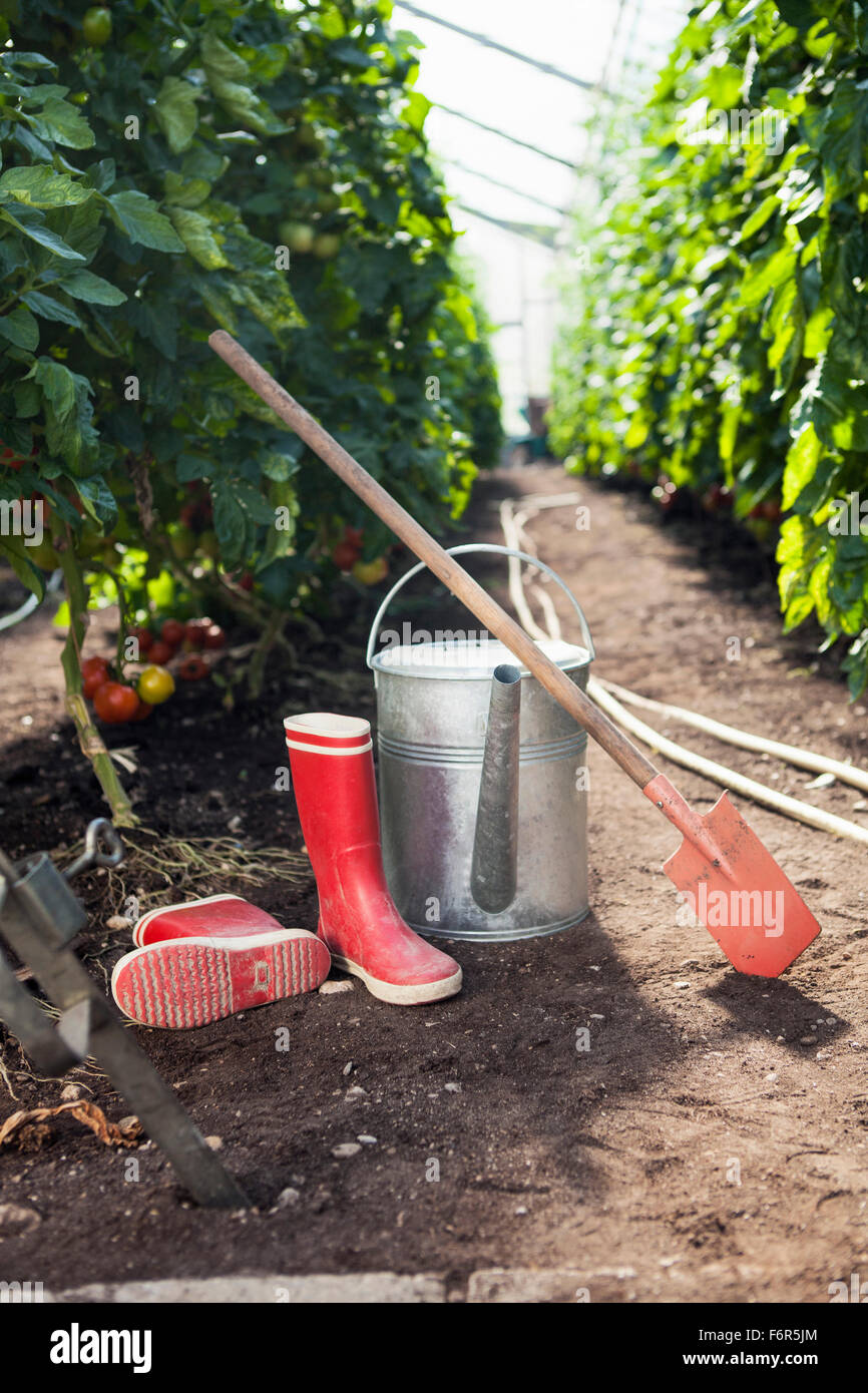 Gartengeräte im Gewächshaus Stockfoto