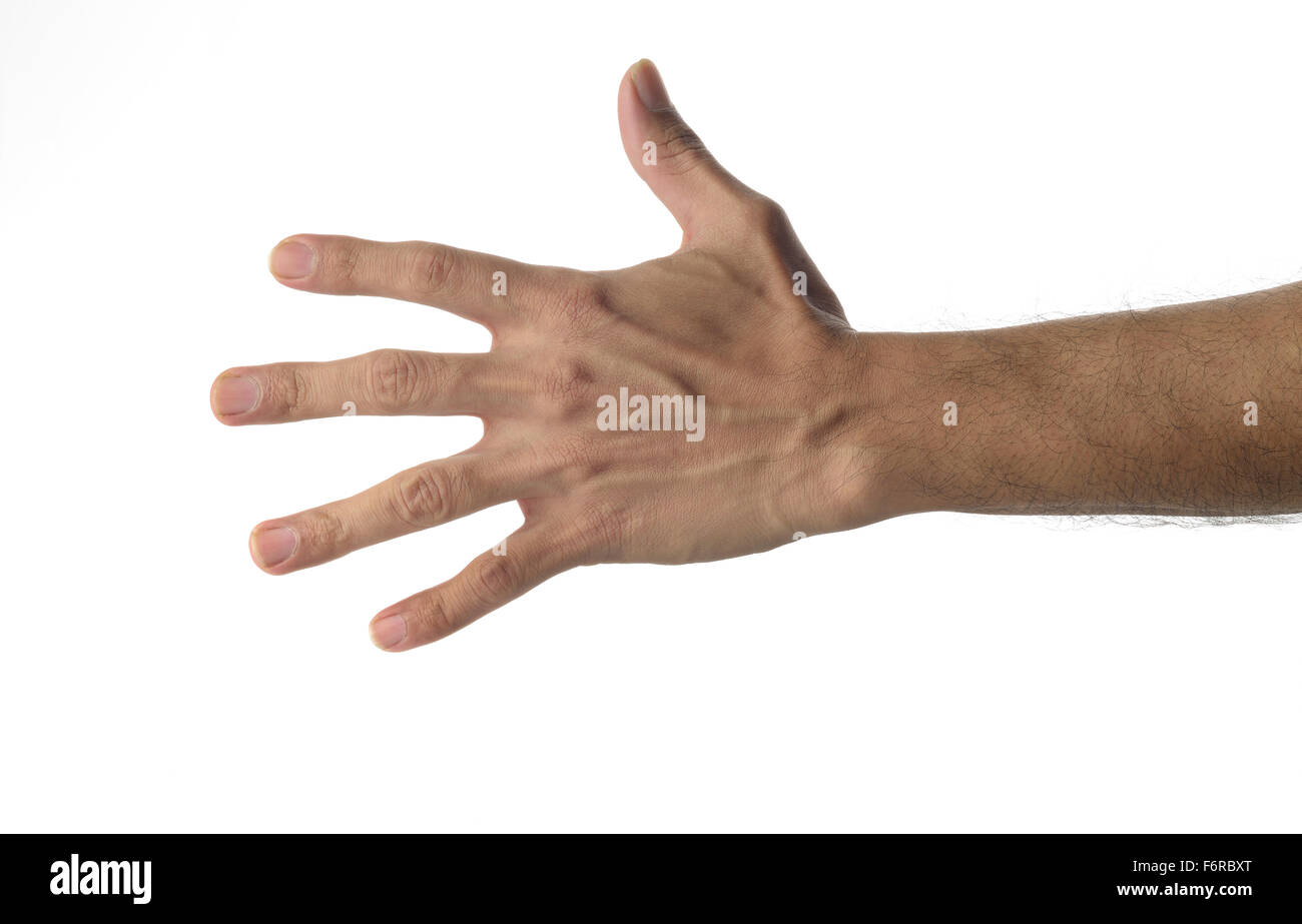 Menschliche Hand auf weißem Hintergrund. Stockfoto