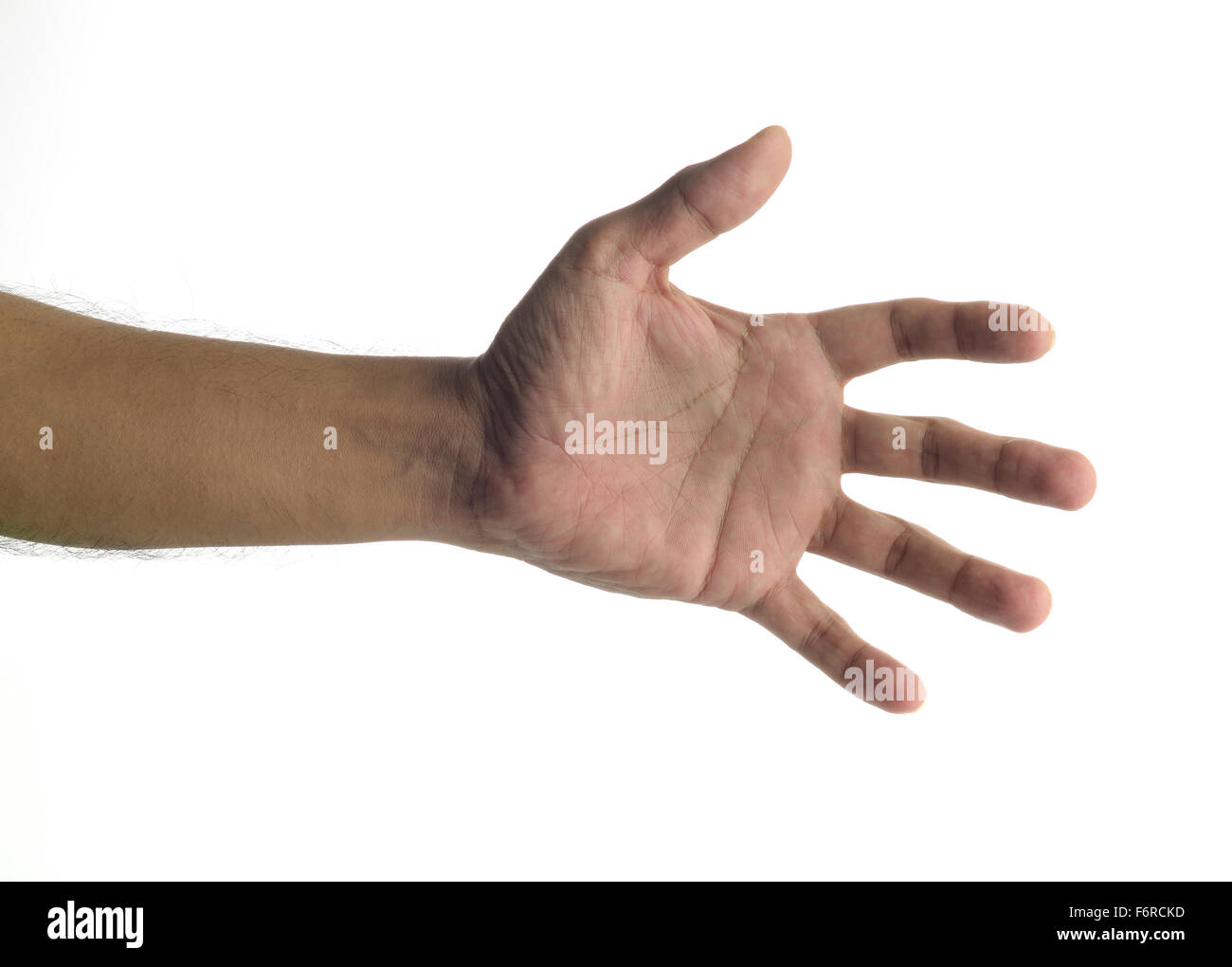 Leere offene menschliche Hand auf weißem Hintergrund. Stockfoto