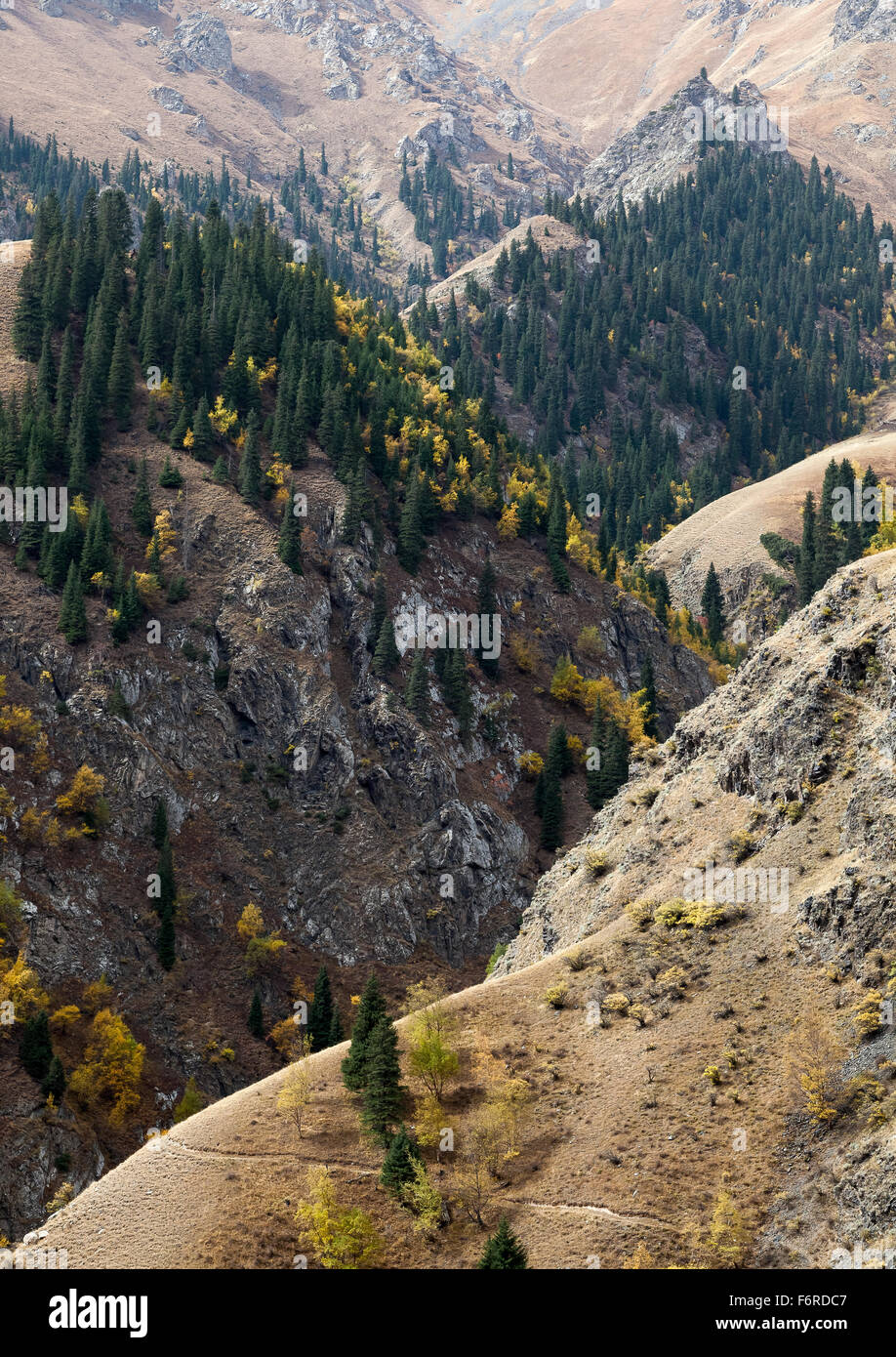 Tian Shan-Gebirge in Herbstfarben, Autonome Region Xinjiang, China. Stockfoto