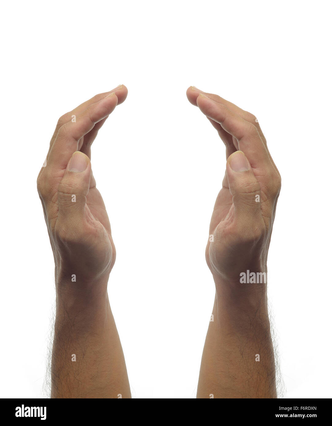 Menschliche Hände - Schutz-Geste auf weißem Hintergrund Stockfoto