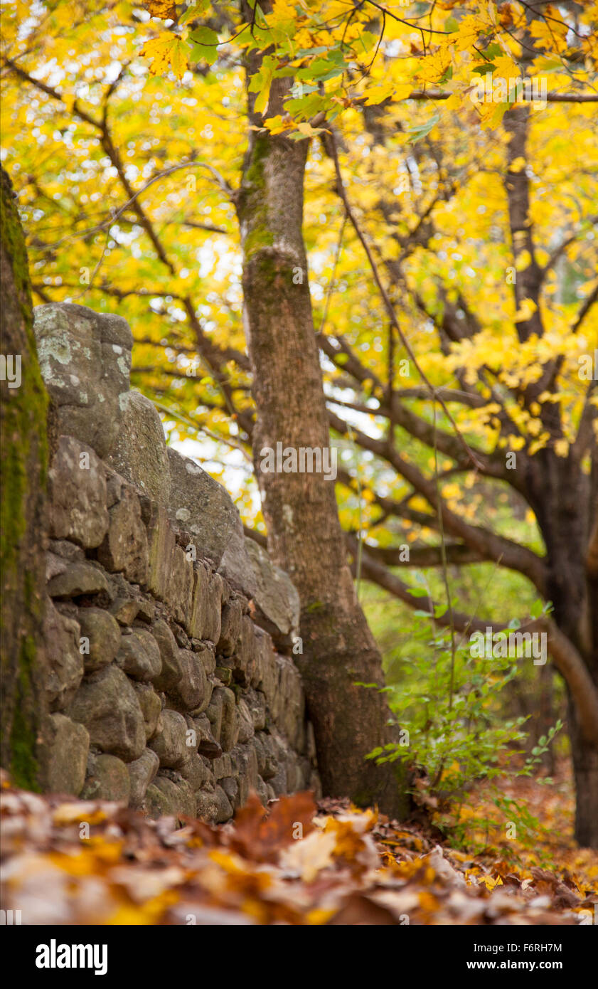 Farben des Herbstes in Lookout Mountain Georgien Stockfoto