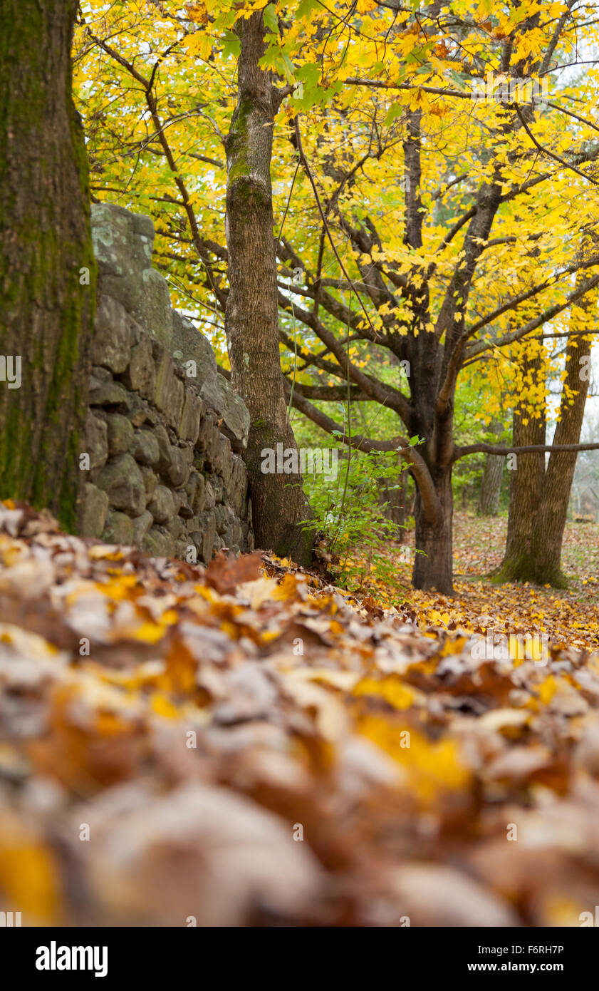 Farben des Herbstes in Lookout Mountain Georgien Stockfoto