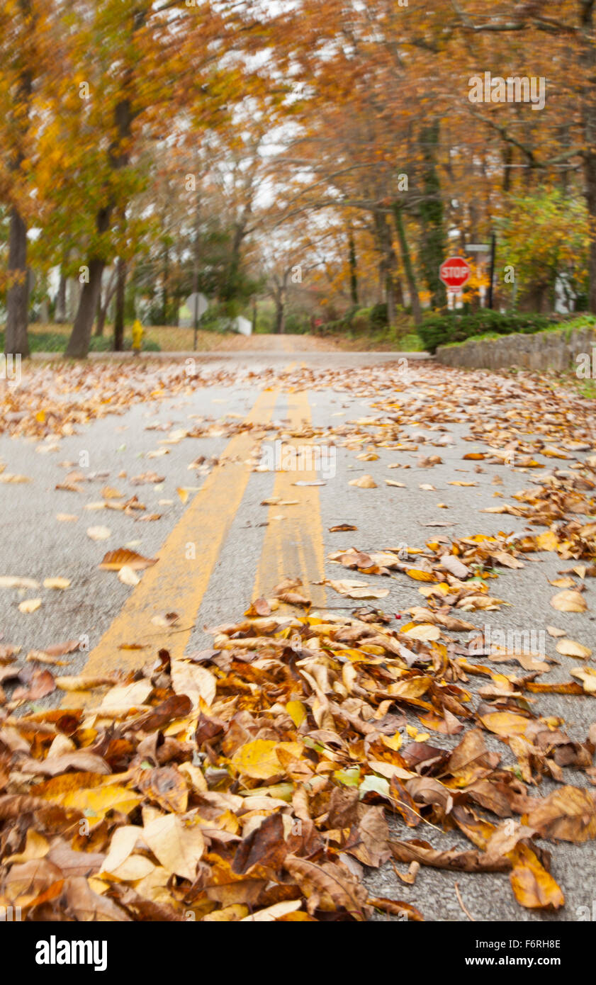 Farben des Herbstes in Lookout Mountain Georgien Stockfoto
