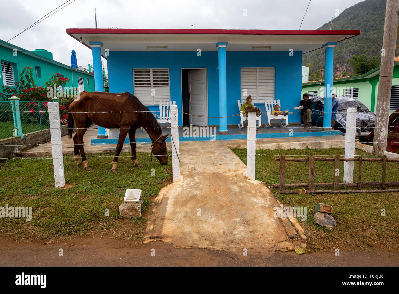 blaue Privathaus mit einem Pferd in den Vorgarten, Viñales, Kuba, Pinar del Río, Kuba Stockfoto
