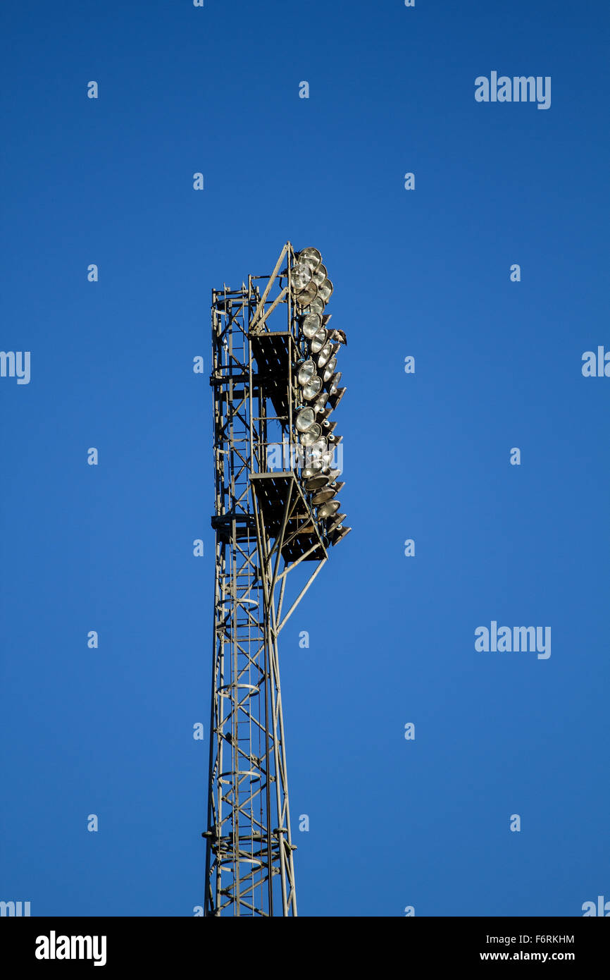 Fluter im Dens Park die Heimat von Dundee Football Club Weg Dens in Dundee, Großbritannien. Stockfoto