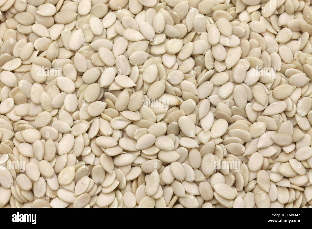 Egusi-Samen ohne Schalen, afrikanische Wassermelone Samen, Egusi Suppe Zutat Stockfoto