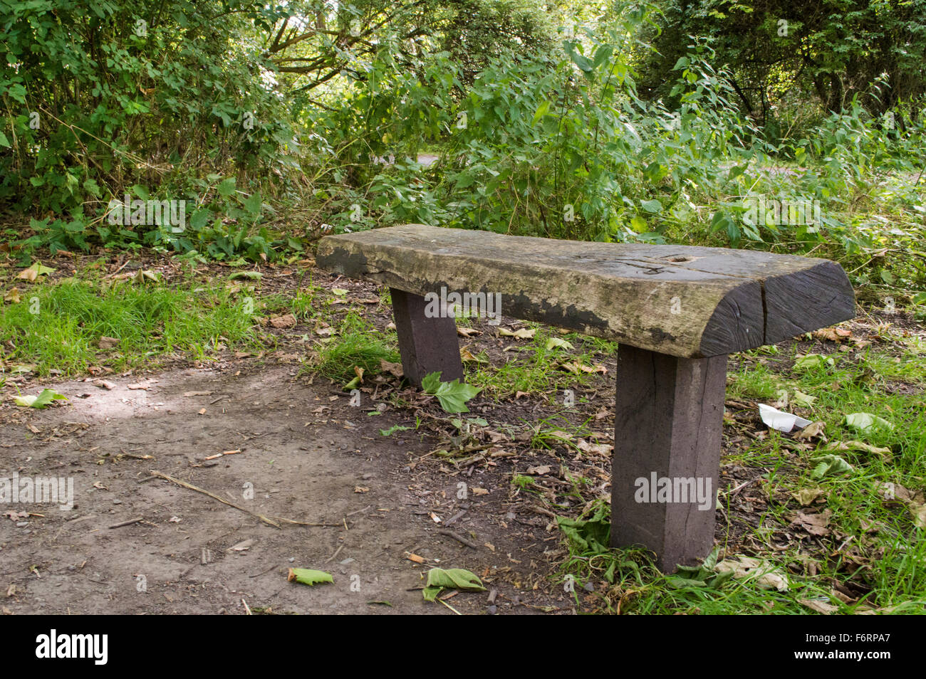 Eine kleine Holzbank, sitzt in einer ruhigen Lage, umgeben von viel Grün überwucherten an Morden Hall Park Stockfoto