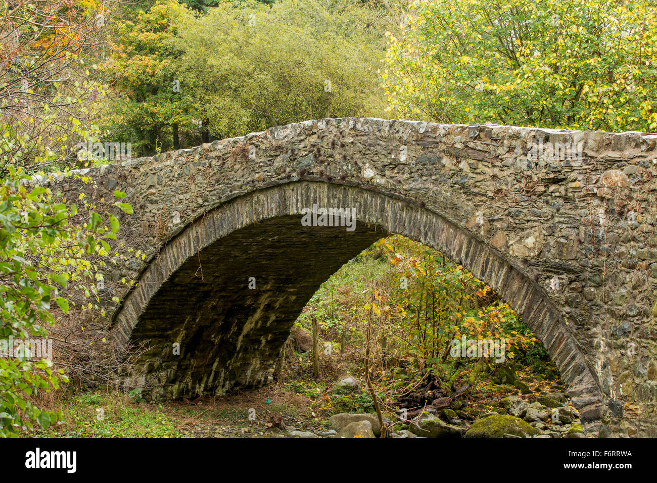 Snowdonia, eine alte Steinbrücke, die teilweise überwachsen. Kleine Bogen überspannt einen Fluss mit Herbst Farbe auf die umliegenden Bäume. Stockfoto