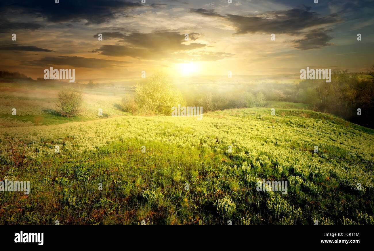 Landschaft im Nebel am Morgen unter bewölktem Himmel Stockfoto
