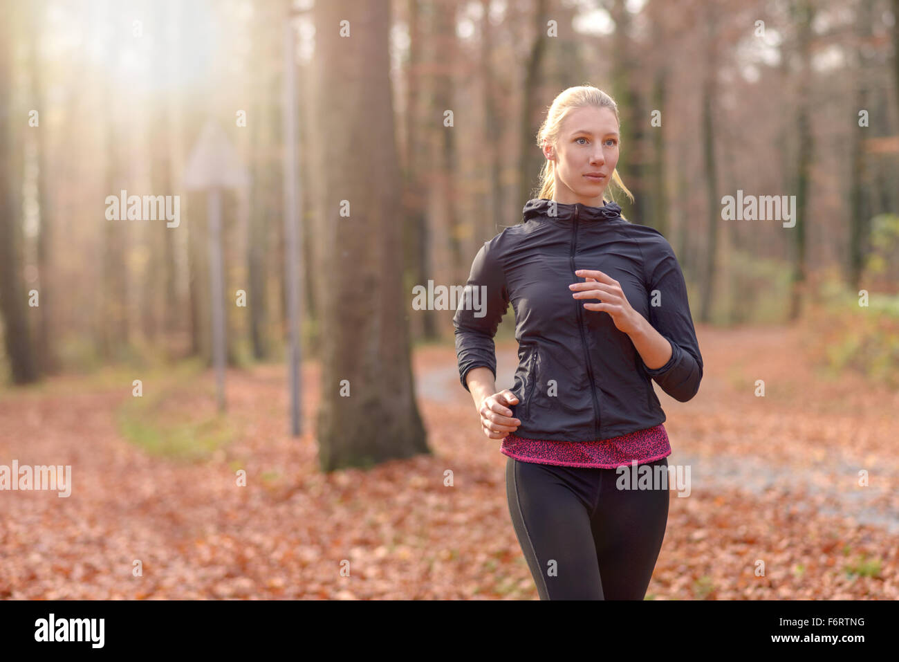 Ziemlich junge Frau, die durch Herbst Joggen fit oder Wald nähert sich die Kamera fallen, Oberkörper Porträt in einer gesunden hautnah Stockfoto