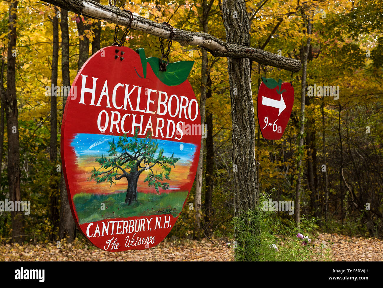 Rustikale Apfel Obstgarten zu unterzeichnen, Canterbury, New Hampshire, USA Stockfoto