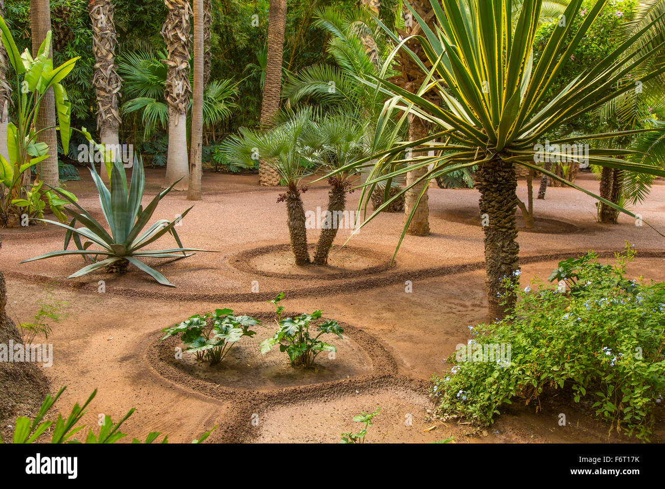 Botanischer Garten Jardin Majorelle in Marrakesch (Marokko) Stockfoto