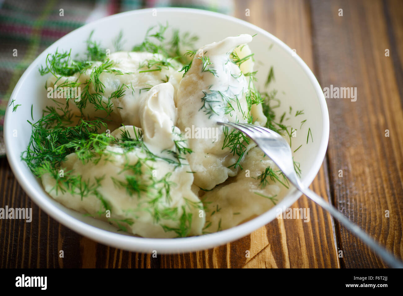 Gekochte Teigtaschen mit saurer Sahne und dill Stockfoto