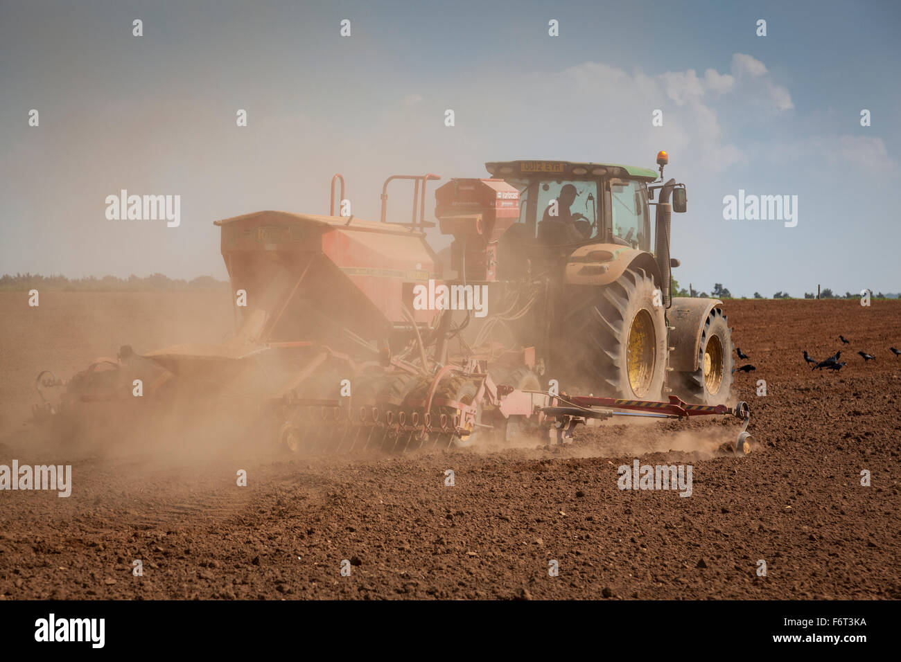 Traktor schafft Staub, da es eine große Sämaschine dahinter schleppt, während Aussaat. Stockfoto