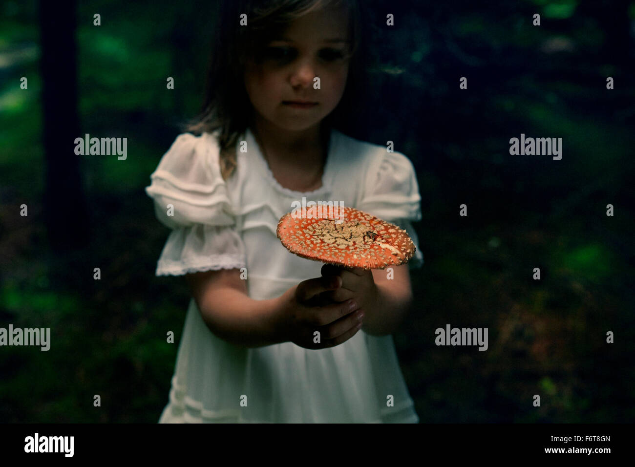 Kaukasische Mädchen halten Pilze im Wald Stockfoto