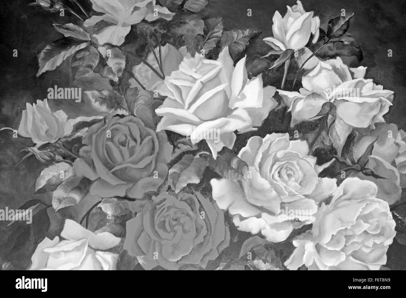 Rosen sind am besten bekannt als Zierpflanzen angebaut für ihre Blumen im Garten und manchmal im Innenbereich Stockfoto