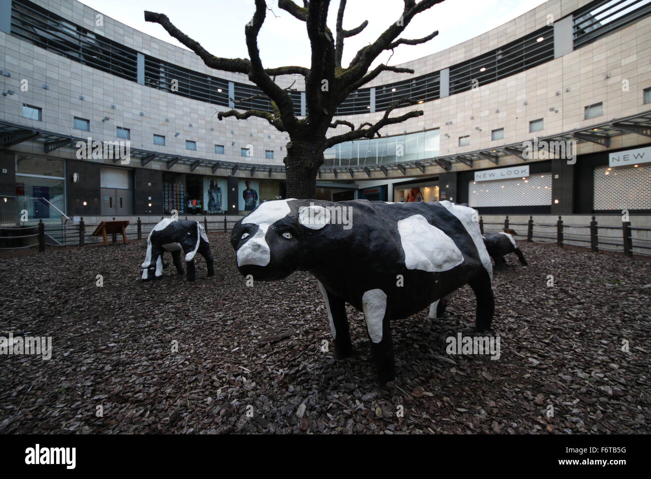 Konkrete Kühe Milton Keynes Stockfoto